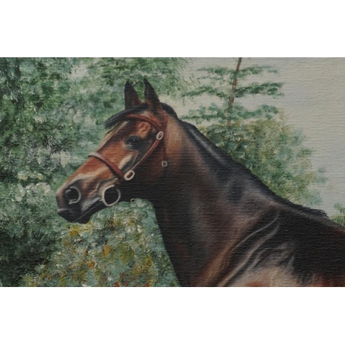 1103 - N Clarke, a bay racehorse in a paddock, signed and dated 1984, oil on canvas, 50 x 60cm.... 