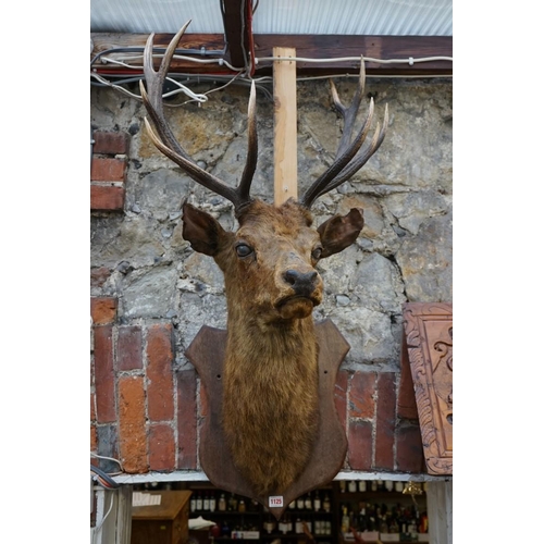 Lot 1125      