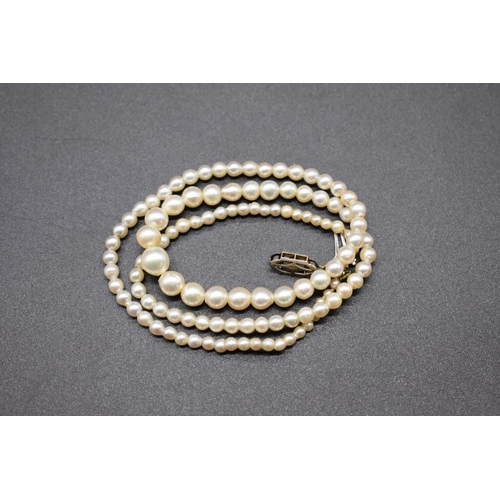 211 - A graduated single strand pearl necklace, having white metal clasp set single diamond, stamped 9ct, ... 