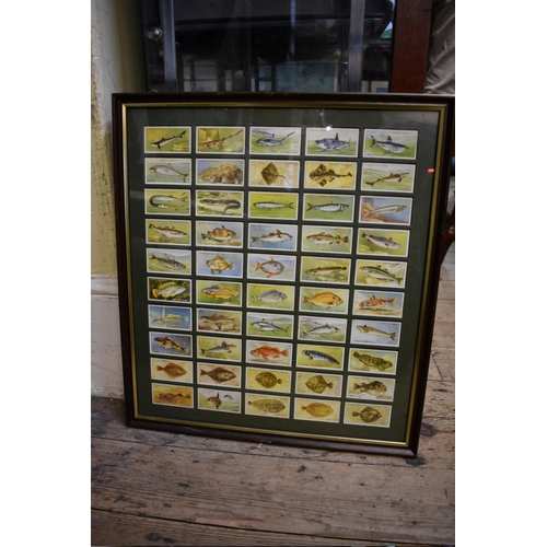 1358 - Five framed displays of Player's and Wills's cigarette cards. 