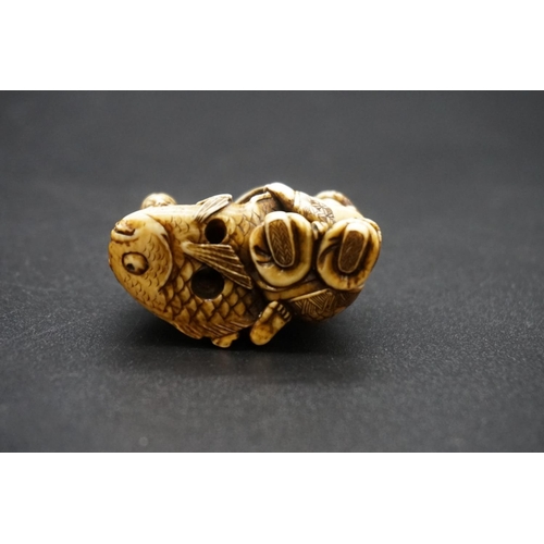 1253 - A good Japanese carved ivory netsuke, Edo, depicting Daikoku and Ebisu on a large sea bream, 4.4cm w... 