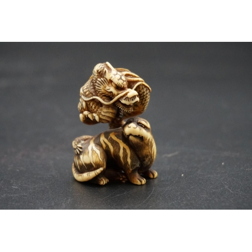 1267 - A good Japanese carved ivory netsuke or okimono, Edo, depicting a dragon and tiger, 5cm high.... 