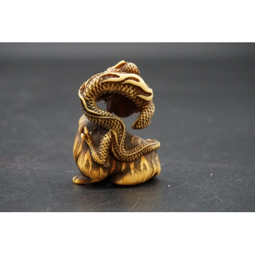 1267 - A good Japanese carved ivory netsuke or okimono, Edo, depicting a dragon and tiger, 5cm high.... 