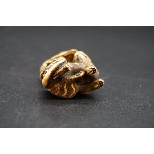 1267 - A good Japanese carved ivory netsuke or okimono, Edo, depicting a dragon and tiger, 5cm high.... 