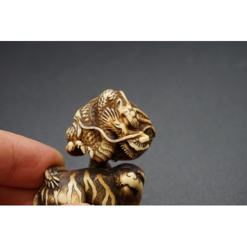 1267 - A good Japanese carved ivory netsuke or okimono, Edo, depicting a dragon and tiger, 5cm high.... 