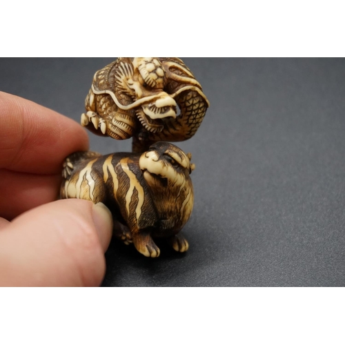 1267 - A good Japanese carved ivory netsuke or okimono, Edo, depicting a dragon and tiger, 5cm high.... 