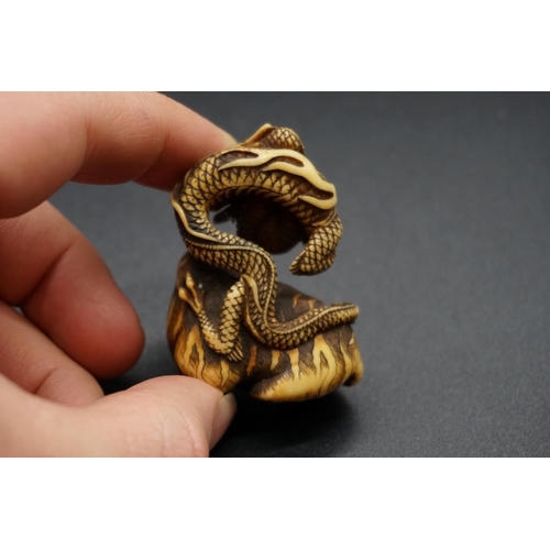 1267 - A good Japanese carved ivory netsuke or okimono, Edo, depicting a dragon and tiger, 5cm high.... 