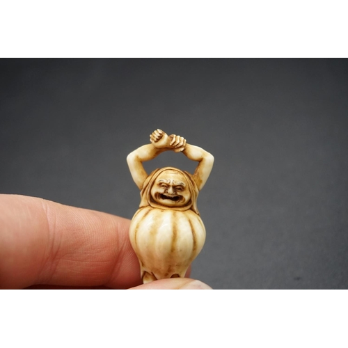 1268 - A good Japanese carved ivory netsuke, by Anraku, Edo, depicting Daruma awakening, signed, 5.4cm high... 