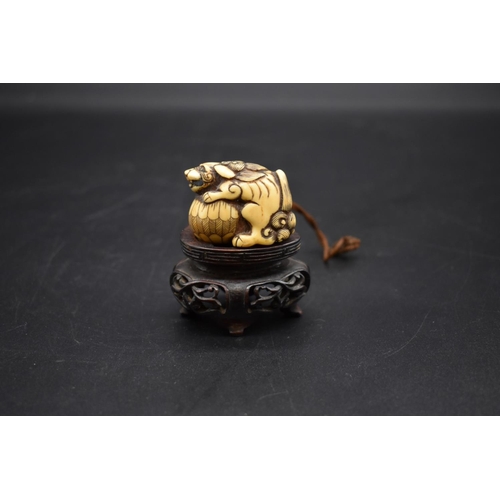 1284 - A good Japanese carved ivory netsuke, Edo, depicting a shishi on ball, 4cm long, on fitted hard... 