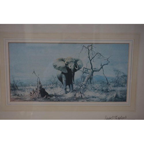 1119 - After David Shepherd, an elephant, signed to the mount in pencil, colour print, 15 x 30.5cm.... 