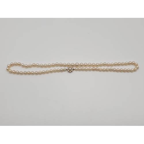 70 - (NB) An opera length string of cultured pearls, with pearl set 9ct gold clasp, 59cm.... 