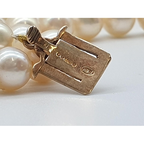 70 - (NB) An opera length string of cultured pearls, with pearl set 9ct gold clasp, 59cm.... 