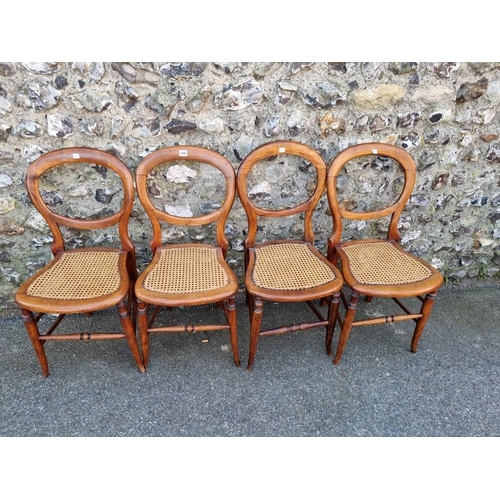 1095 - A set of four balloon back dining chairs, having cane seats.