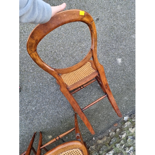 1095 - A set of four balloon back dining chairs, having cane seats.