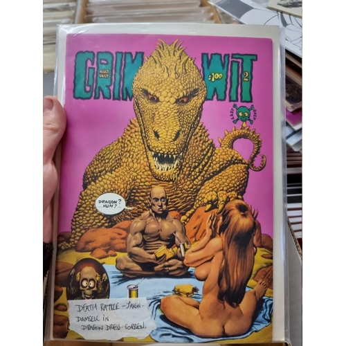 341 - UNDERGROUND COMICS: collection of approx 170 mixed titles and issues, to include Tales of Sex a... 