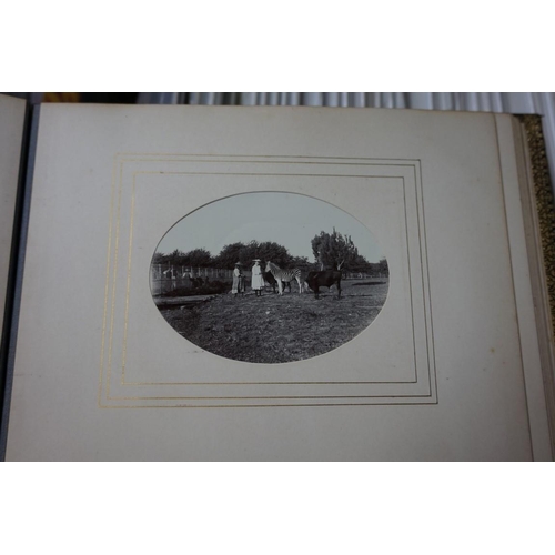 104 - PHOTOGRAPH ALBUMS: CHARLES DUNNELL RUDD (1844-1916): a beautifully presented collection of 19 f... 