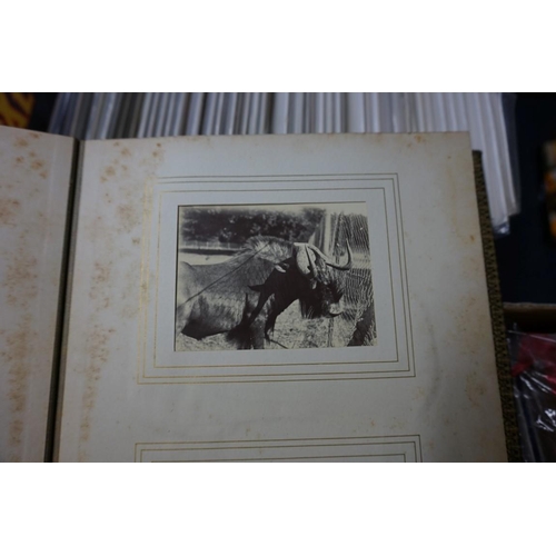 104 - PHOTOGRAPH ALBUMS: CHARLES DUNNELL RUDD (1844-1916): a beautifully presented collection of 19 f... 