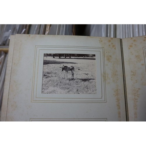 104 - PHOTOGRAPH ALBUMS: CHARLES DUNNELL RUDD (1844-1916): a beautifully presented collection of 19 f... 