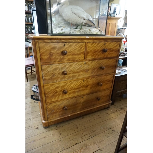 1414 - A Victorian satin birch chest of drawers, 121cm wide.