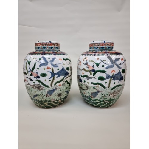 1778 - A good and large pair of Chinese famille verte jars and covers, 19th century, painted with fish, 35....