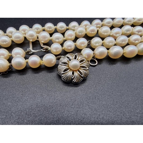 801 - A pearl two strand necklace, having clasp stamped 18k, by GVS, 44cm.