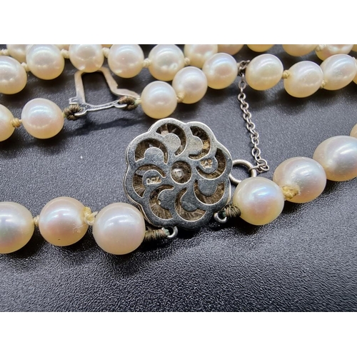 801 - A pearl two strand necklace, having clasp stamped 18k, by GVS, 44cm.