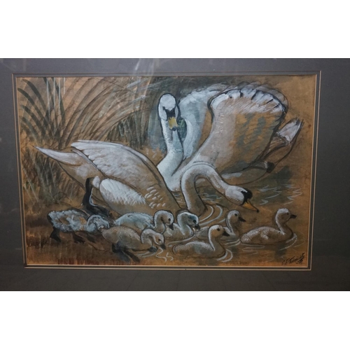 11 - CHARLES F TUNNICLIFFE: Swans and Cygnets, signed, watercolour and gouache, 45.5 x 69cm.... 