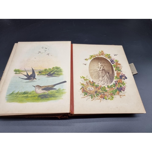 147 - CARTE DE VISITE ALBUM: an album of approx 74 cartes des visite and cabinet cards, loosely inser... 