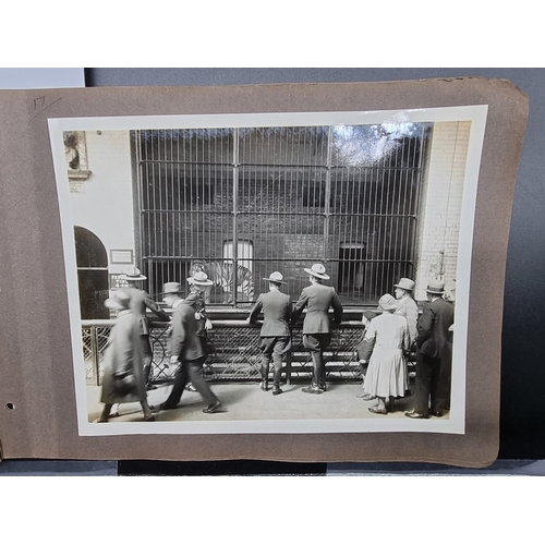 162 - INTERNATIONAL HORSE SHOW, OLYMPIA 1930: an album of 24 b/w photographs, each approx 25 x 20cm, ... 