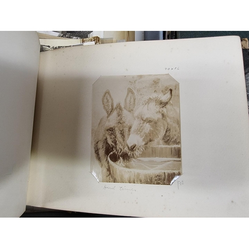 170 - PHOTOGRAPHY: HORSES: a quantity of 19th century photographs of horses and other animals, some portra... 