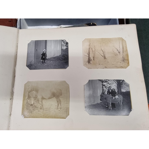 170 - PHOTOGRAPHY: HORSES: a quantity of 19th century photographs of horses and other animals, some portra... 