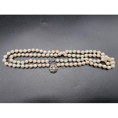 801 - A pearl two strand necklace, having clasp stamped 18k, by GVS, 44cm.