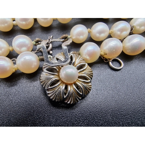 801 - A pearl two strand necklace, having clasp stamped 18k, by GVS, 44cm.