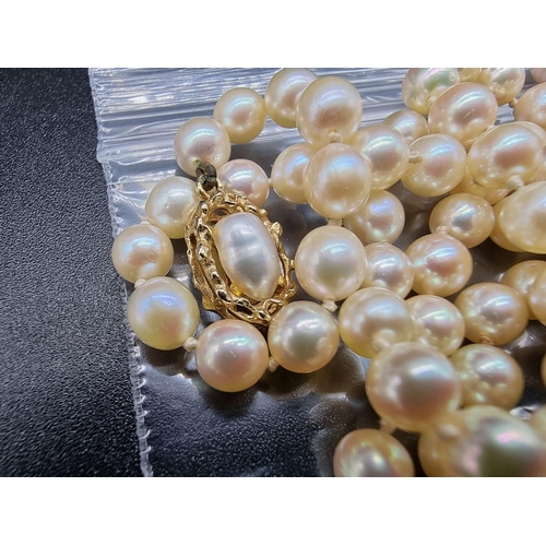 803 - A pearl necklace, of uniform size having, a 9ct gold clasp, 96cm; together with a pair of yellow met... 