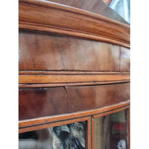 1075A - An Edwardian mahogany bowfront standing corner display cabinet, having two pairs of ebony strung ast... 