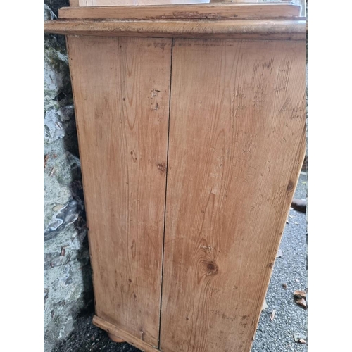 1044 - A Victorian carved pine bookcase cabinet, 110cm wide x 49cm deep x 215cm high.