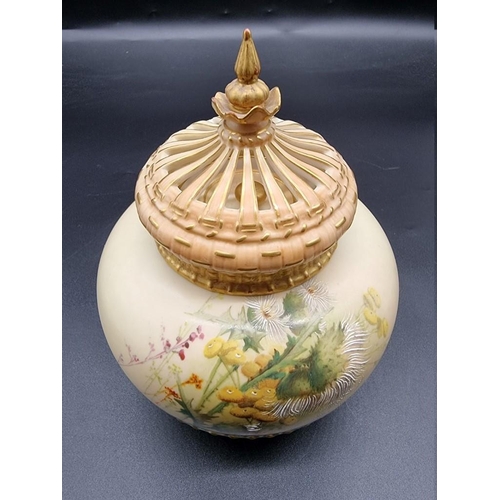 1260 - A Royal Worcester blush ivory pot pourri vase and pierced cover, circa 1907, shape no. 1286, with in... 