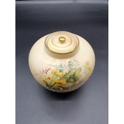 1260 - A Royal Worcester blush ivory pot pourri vase and pierced cover, circa 1907, shape no. 1286, with in... 