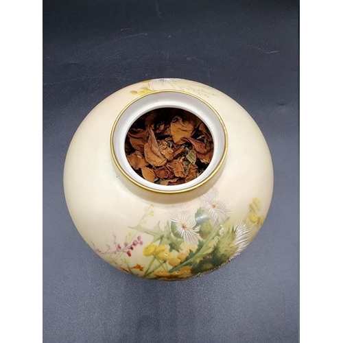 1260 - A Royal Worcester blush ivory pot pourri vase and pierced cover, circa 1907, shape no. 1286, with in... 