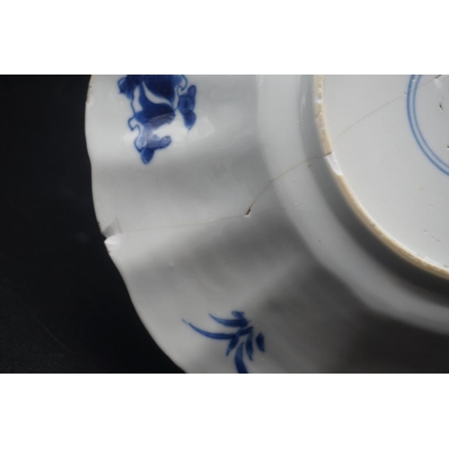 1554 - A large Chinese blue and white plates, Kangxi four character mark to base, painted with fish, 30cm d... 