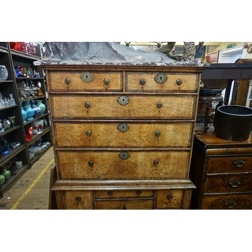 1347 - A George I elm and burr elm crossbanded chest on stand, 95cm wide.