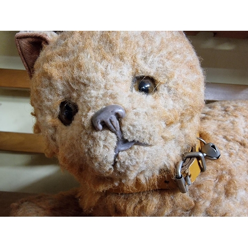 63 - Steiff: a black plush Halloween or 'Scaredy Cat', with ear button and blue ribbon, 11cm long; and a ... 