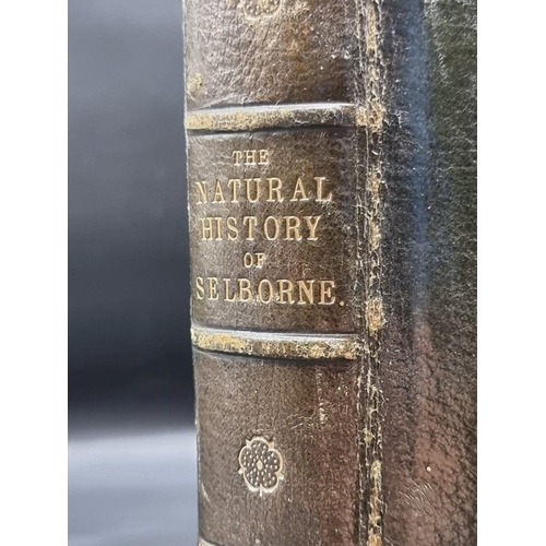 10 - WHITE (Gilbert): 'The Natural History and Antiquities of Selborne, in the County of Southampton... 