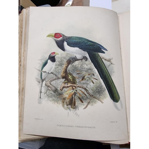 113 - LEGGE (William Vincent): 'A History of the Birds of Ceylon...' London, published by the author,... 