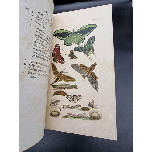 70 - WAKEFIELD (Priscilla): 'An Introduction to the Natural History and Classification of Insects...' Lon... 