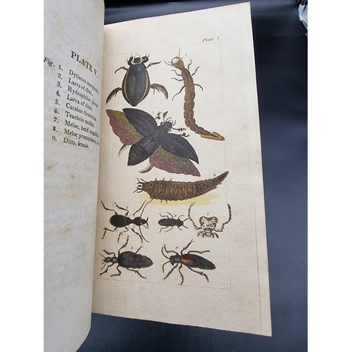 70 - WAKEFIELD (Priscilla): 'An Introduction to the Natural History and Classification of Insects...' Lon... 