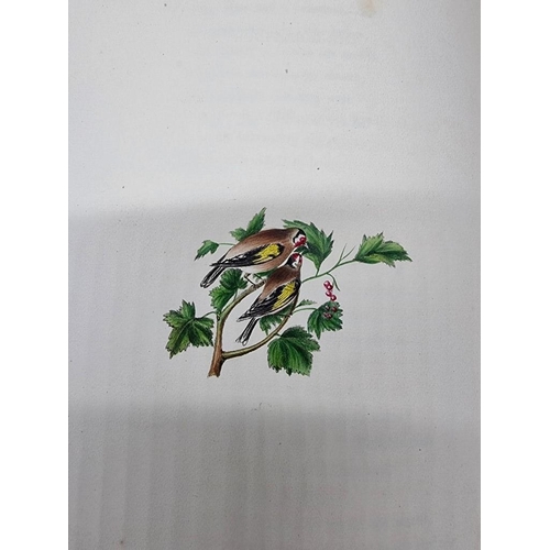 84 - RATHBONE (Hannah): 'The Poetry of Birds, selected from various authors, with coloured illustrat... 