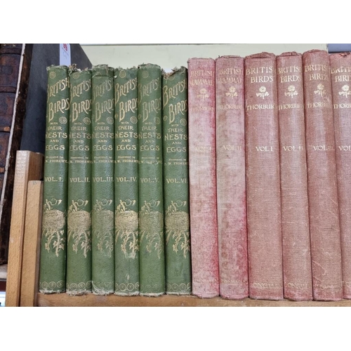 99 - THORBURN (Archibald): 'British Birds': Longmans, Green & Co, 1916: 2nd edition. 4 vols, 80 ... 