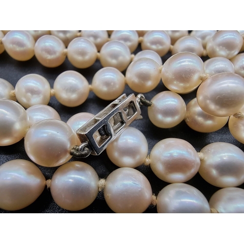 740 - A cultured pearl necklace, of 146 pearls, each approximately 8mm diameter, the unmarked clasp pave s... 