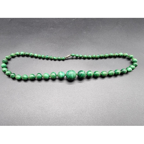 742 - A graduated malachite bead necklace, 51cm.